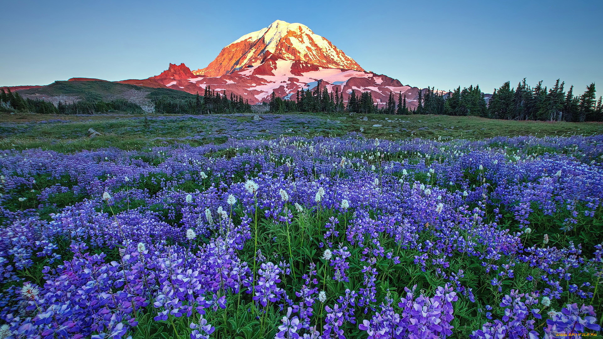 np mount rainier, usa, , , np, mount, rainier